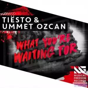 Tiesto - What Youre Waiting ft. Ummet Ozcan
